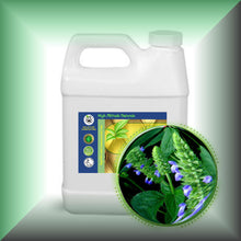 Chia Seed Oil for Face, Mature Skin & Hair in a 32 fl oz jug.