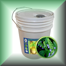Chia Seed Oil for Face, Mature Skin & Hair in a 5 gallon pail, bulk, wholesale size.