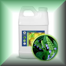 Chia Seed Oil for Face, Mature Skin & Hair in a 64 fl oz jug, bulk, wholesale size.
