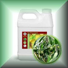 Clear Jojoba Oil for Face, Skin, Hair & Massage in a 32 fl oz jug.