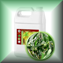 Clear Jojoba Oil for Face, Skin, Hair & Massage in a Gallon jug, bulk, wholesale size.