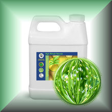 Abyssinian Oil (Crambe Oil) for Face, Skin and Shiny Hair in a 32 fl oz jug.