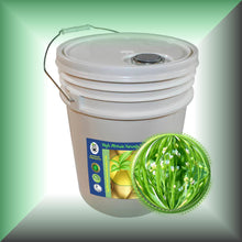 Abyssinian Oil (Crambe Oil) for Face, Skin and Shiny Hair in a 5 Galon pail, bulk, wholesale size.