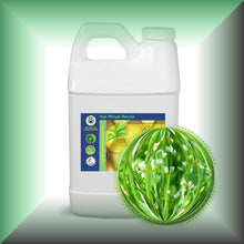 Abyssinian Oil (Crambe Oil) for Face, Skin and Shiny Hair in a 64 fl oz jug, bulk, wholesale size.
