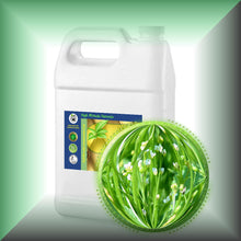 Abyssinian Oil (Crambe Oil) for Face, Skin and Shiny Hair in a Gallon jug, bulk, wholesale size.