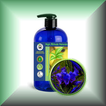 Echium Seed Oil for Face, Skin & Hair – Omega-3, SDA & GLA, in a 16 fl oz bottle with pump.