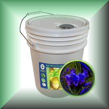 Echium Seed Oil for Face, Skin & Hair – Omega-3, SDA & GLA, in a 5-gallon pail, bulk, wholesale size.