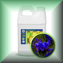 Echium Seed Oil for Face, Skin & Hair – Omega-3, SDA & GLA, in a 64 fl oz jug - bulk, wholesale size.