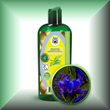 Echium Seed Oil for Face, Skin & Hair – Omega-3, SDA & GLA, in a 8 fl oz bottle with dispenser cap.