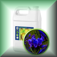 Echium Seed Oil for Face, Skin & Hair – Omega-3, SDA & GLA, in a Gallon jug - bulk, wholesale size.
