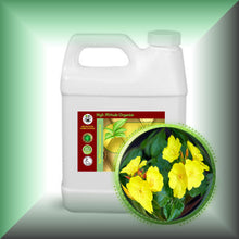 Evening Primrose Oil for Face, Dry Skin & Hair, in a 32 fl oz jug.