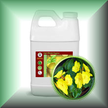 Evening Primrose Oil for Face, Dry Skin & Hair, in a 64 fl oz jug, bulk, wholesale size.