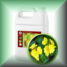 Evening Primrose Oil for Face, Dry Skin & Hair, in a Gallon jug - bulk, wholesale size.