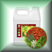 Exquisite Sandalwood™ Body Massage Oil for Aromatherapy & Relaxation – 6 Sandalwoods in a 32 fl oz jug.