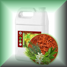 Exquisite Sandalwood™ Body Massage Oil for Aromatherapy & Relaxation – 6 Sandalwoods in a gallon jug, bulk, wholesale size.