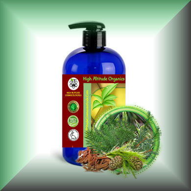 Forest Nights™ Body Massage Oil for Aromatherapy & Relaxation in a 16 fl oz bottle with pump dispenser.