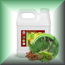 Forest Nights™ Body Massage Oil for Aromatherapy & Relaxation in a 32 fl oz jug.