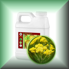 Immortelle Helichrysum Oil for Face, Mature Skin & Hair in a 16 fl oz jug.