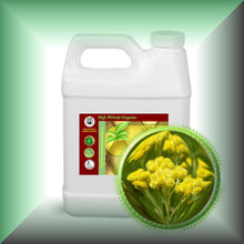 Immortelle Helichrysum Oil for Face, Mature Skin & Hair in a 32 fl oz jug.