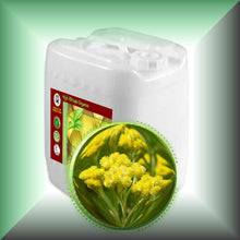 Immortelle Helichrysum Oil for Face, Mature Skin & Hair in a 5-gallon jerrycan, bulk, wholesale size.