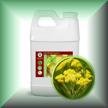 Immortelle Helichrysum Oil for Face, Mature Skin & Hair in a 64 fl oz jug, bulk size.