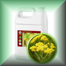 Immortelle Helichrysum Oil for Face, Mature Skin & Hair in a Gallon jug, bulk, wholesale size.