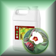 Hibiscus Seed Oil for Face, Skin, Hair & Massage - Virgin, in a gallon jug, bulk, wholesale size.