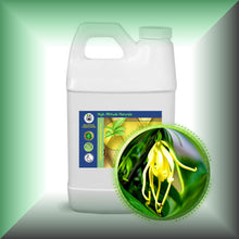 Ylang-Ylang Essential Oil (Cananga Odorata) Buy Bulk