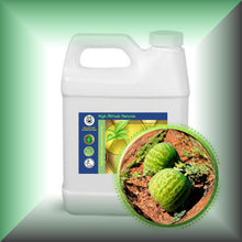 Kalahari Melon Seed Oil for Face, Skin & Hair - Virgin, in a 32 fl oz jug.