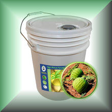 Kalahari Melon Seed Oil for Face, Skin & Hair - Virgin, in a 5 gallon pail, bulk, wholesale size.