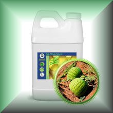 Kalahari Melon Seed Oil for Face, Skin & Hair - Virgin, in a 64 fl oz jug, bulk, wholesale size.