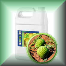 Kalahari Melon Seed Oil for Face, Skin & Hair - Virgin, in a Gallon jug, bulk, wholesae size.