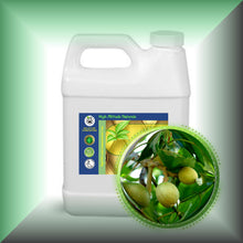 Kukui Nut Oil for Face, Skin, Hair & Massage in a 32 fl oz jug.