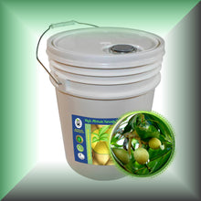 Kukui Nut Oil for Face, Skin, Hair & Massage, in a 5 gallon pail , bulk, wholesale size.