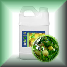 Kukui Nut Oil for Face, Skin, Hair & Massage in a 64 fl oz jug.