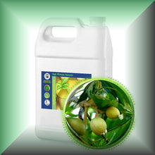Kukui Nut Oil for Face, Skin, Hair & Massage in a Gallon jug, bulk, wholesale price.
