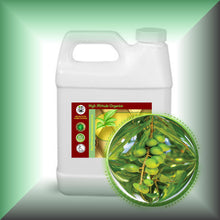 Macadamia Nut Oil for Face, Mature Skin & Hair - Virgin, in a 32 fl oz jug.