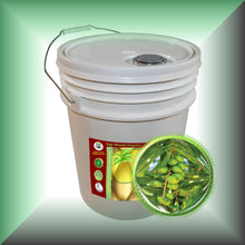 Macadamia Nut Oil for Face, Mature Skin & Hair - Virgin, in a 5-gallon pail, bulk, wholesales size.