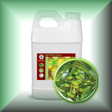 Macadamia Nut Oil for Face, Mature Skin & Hair - Virgin, in a 64 fl oz jug.
