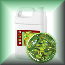 Macadamia Nut Oil for Face, Mature Skin & Hair - Virgin, in a Gallon jug, bulk, wholesale size.
