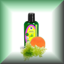 Marine Microalgae Algal Oil with 40% DHA for Skin & Hair, in a 2 fl oz bottle with dispenser cap.