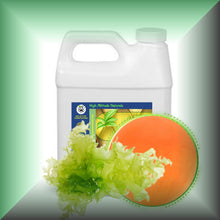 Marine Microalgae Algal Oil with 40% DHA for Skin & Hair, in a 32 oz jug.