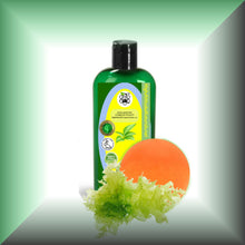 Marine Microalgae Algal Oil with 40% DHA for Skin & Hair, in a 4 fl oz bottle with dispenser cap.