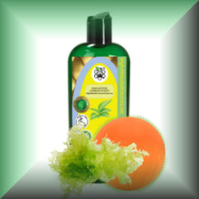 Marine Microalgae Algal Oil with 40% DHA for Skin & Hair, in a 8 fl oz bottle with disenser cap.