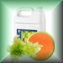 Marine Microalgae Algal Oil with 40% DHA for Skin & Hair in a Gallon jug, bulk,wholesale size.