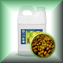 Marula Oil for Face, Skin, Hair & Body - Virgin, in a 64 fl oz jug.