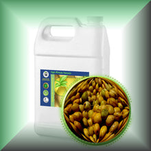 Marula Oil for Face, Skin, Hair & Body - Virgin, in a Gallon jug, bulk, wholesale size.