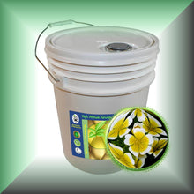 Meadowfoam Seed Oil for Face, Skin, Hair & Massage, in a 5-gallon pail, bulk, wholesale size.
