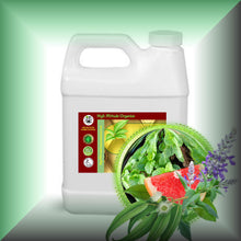 Minty Fresh™ Peppermint & Eucalyptus Body Massage Oil in a 32 fl oz jug.
