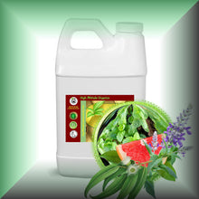 Minty Fresh™ Peppermint & Eucalyptus Body Massage Oil in a 64 fl oz jug.